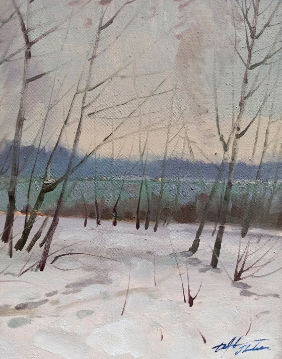 Winter landscape