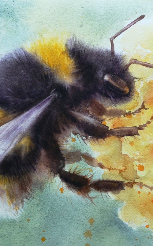 Blossom Buzz: A Bumblebee's Delight - Summer Bumble bee by Olga Beliaeva Watercolour
