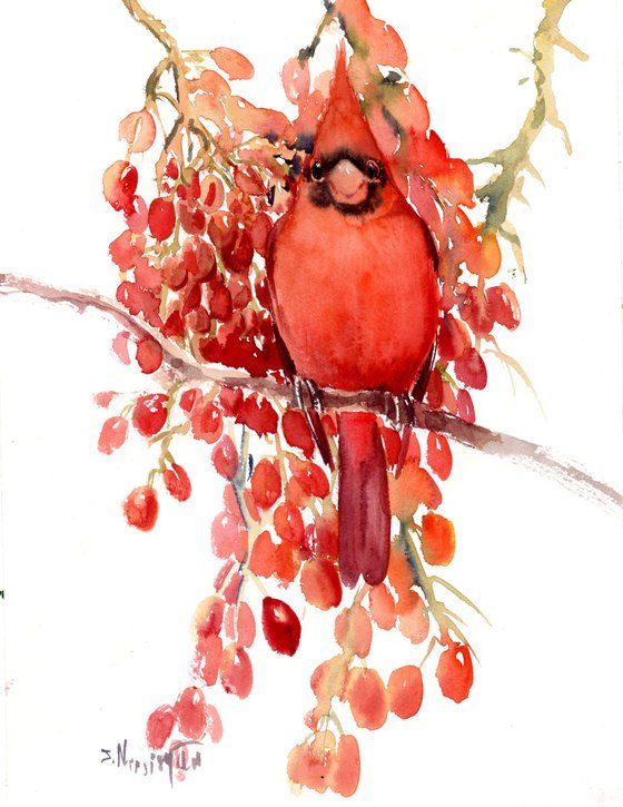 Red Cardinal Bird