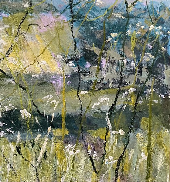 Last Of The Cow Parsley