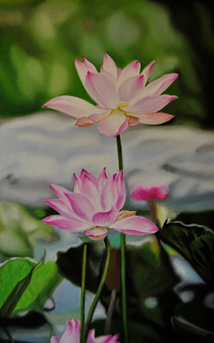 Photorealistic Botanical Oil Painting By Simona Tsvetkova, 12 X 20", Water Lilies Ii, Original Artwork