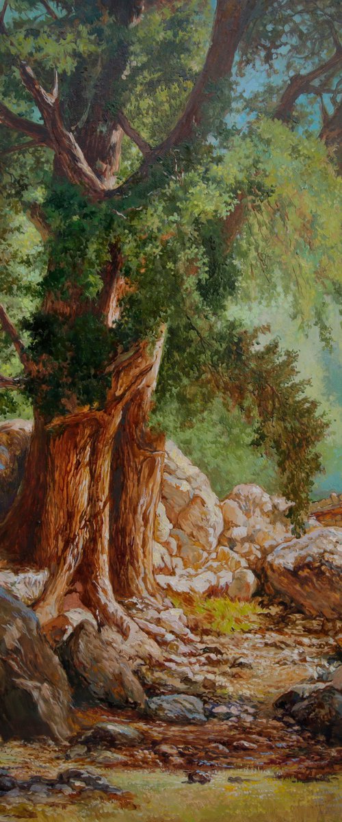 Mountain oak by Eduard Panov