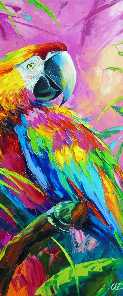 Macaw Parrot by Olha Darchuk