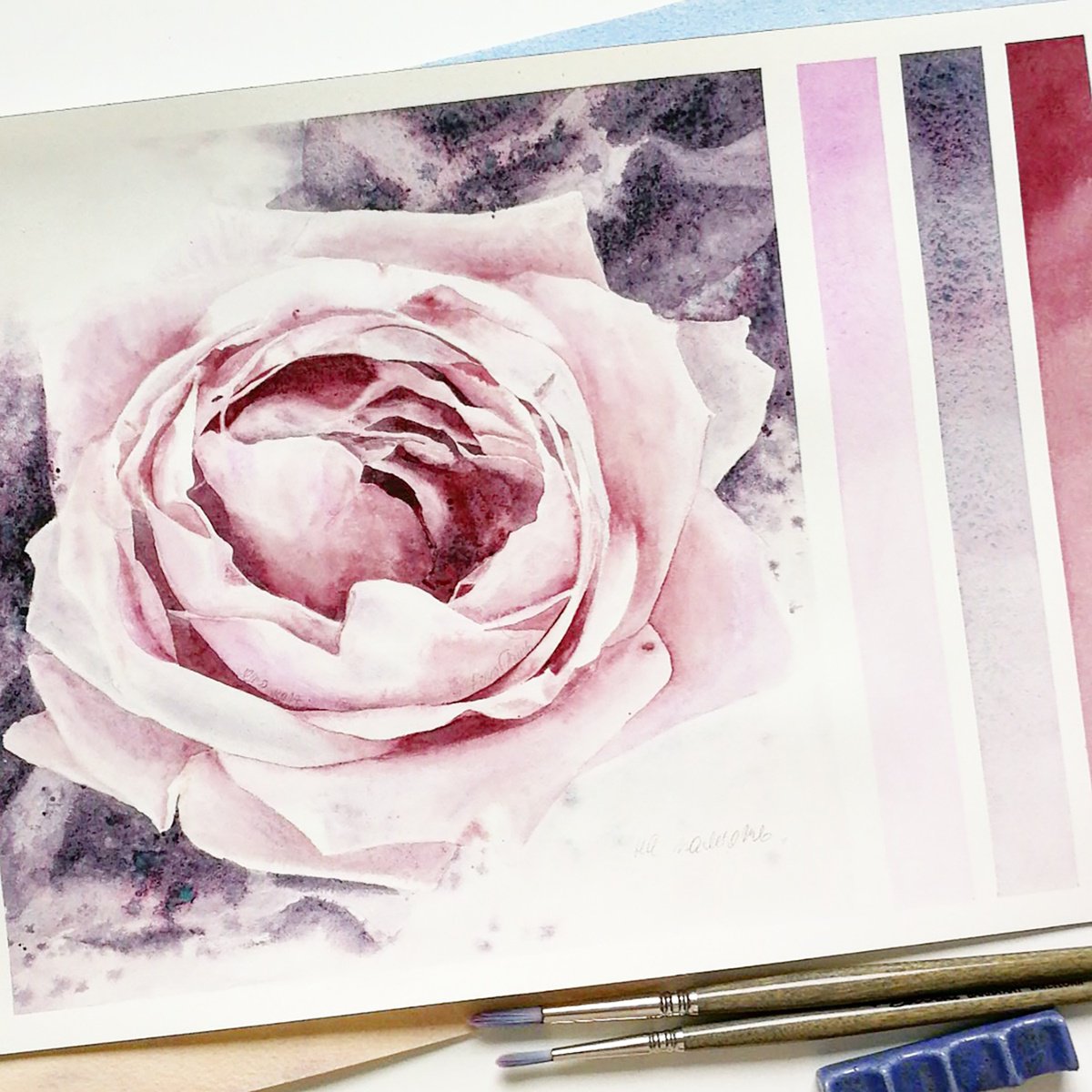 Photorealistic Botanical Watercolour By Alona Hryn, 8 X 8, Terrific Fragrance Of The Rose, Original Artwork