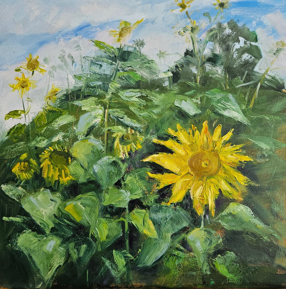 Sunflower By Vera Stein, 20 X 20, Artwork For Sale On Artfinder