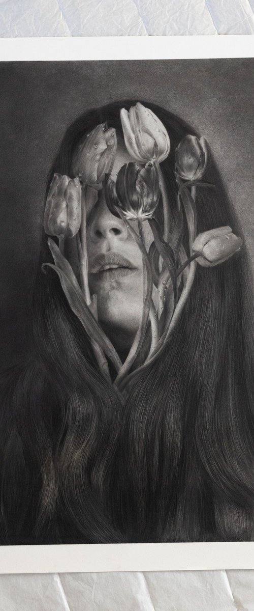 Tulip by Beáta Kovács