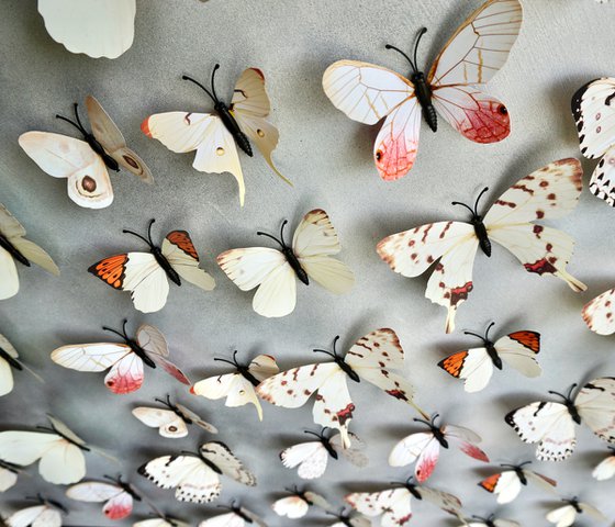 Wall Sculpture Butterfly Park 9
