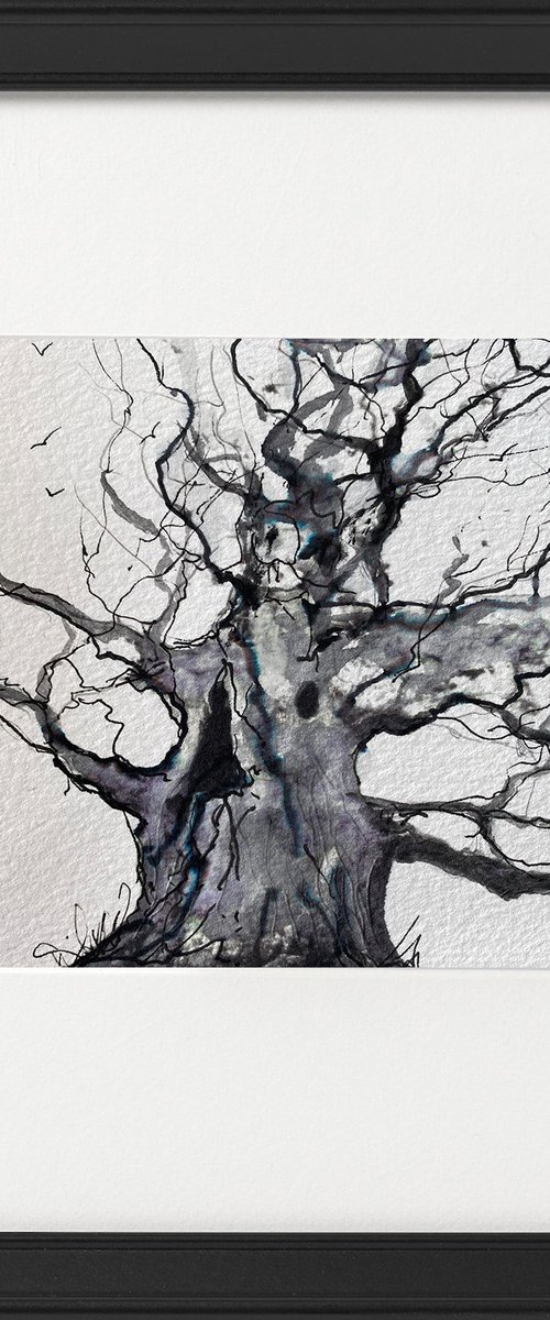 Monochrome - Oak tree (Majesty) in Winter framed by Teresa Tanner