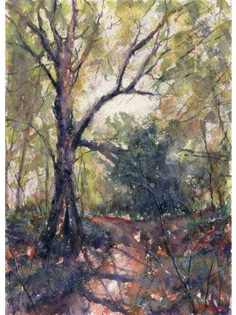 Impressionistic Botanical Watercolour By Neil Wrynne, 11 X 15", In The Thicket, Original Artwork