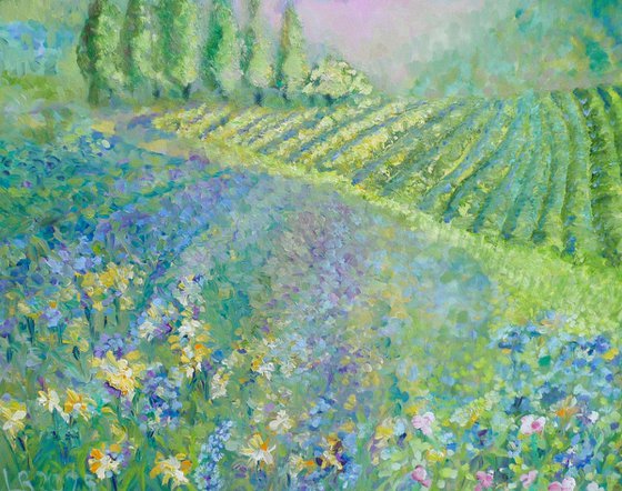 Lavender in Provence 2025