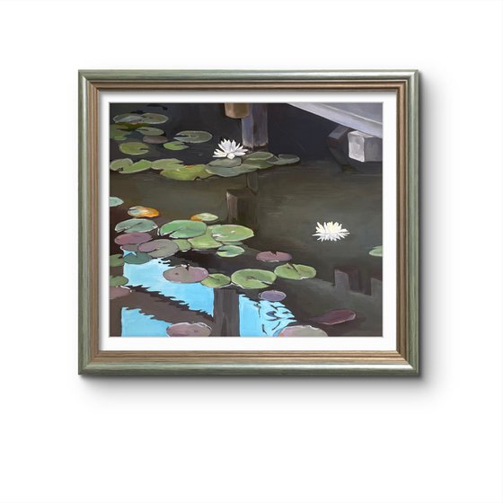 Under the bridge. Water lilies
