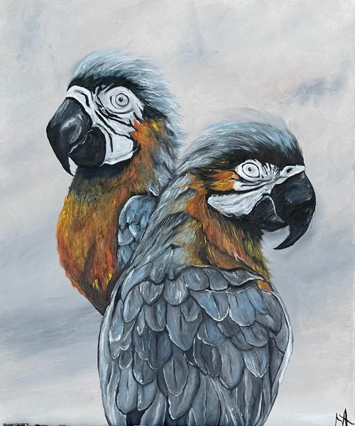 Parrots by Anastasiia Novitskaya