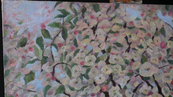 The Blooming Tree