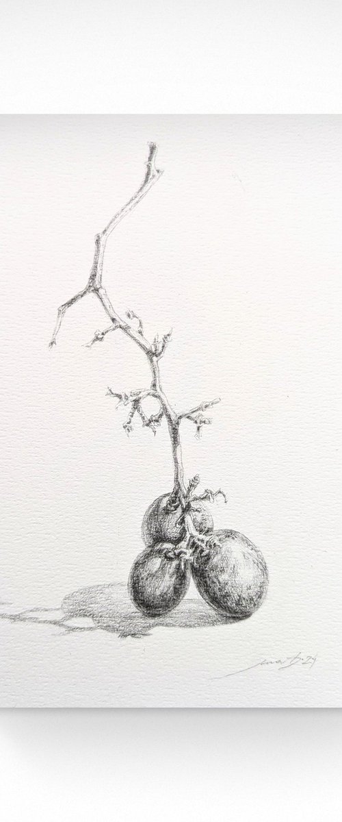 "Grape branch" by Yana Dulger