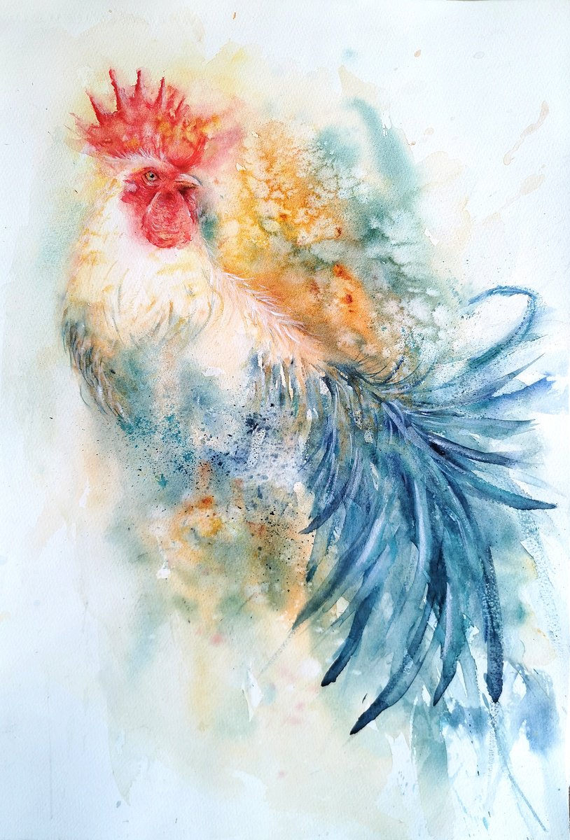 Rooster by Sveta Hubmann