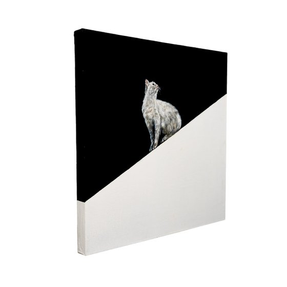 Minimalist Cat That’s Too Cool to Ignore