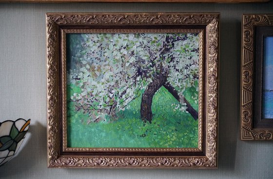 The cherry tree is in bloom