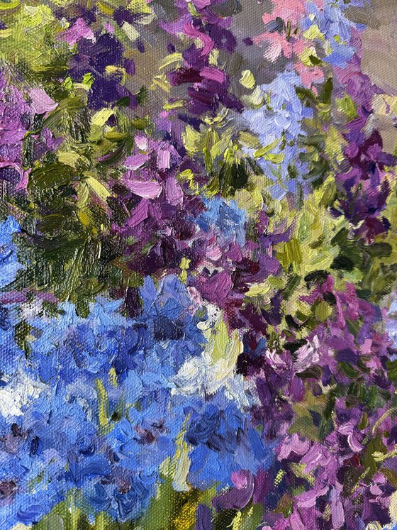Delphiniums in Bloom