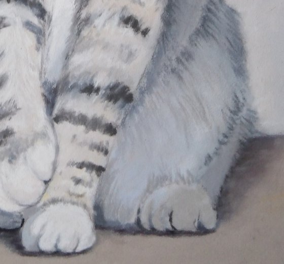 A Cat's Portrait. Emerald Eyes