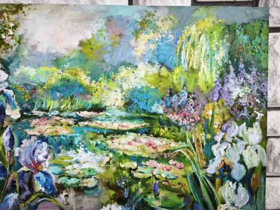 Water lilies pond