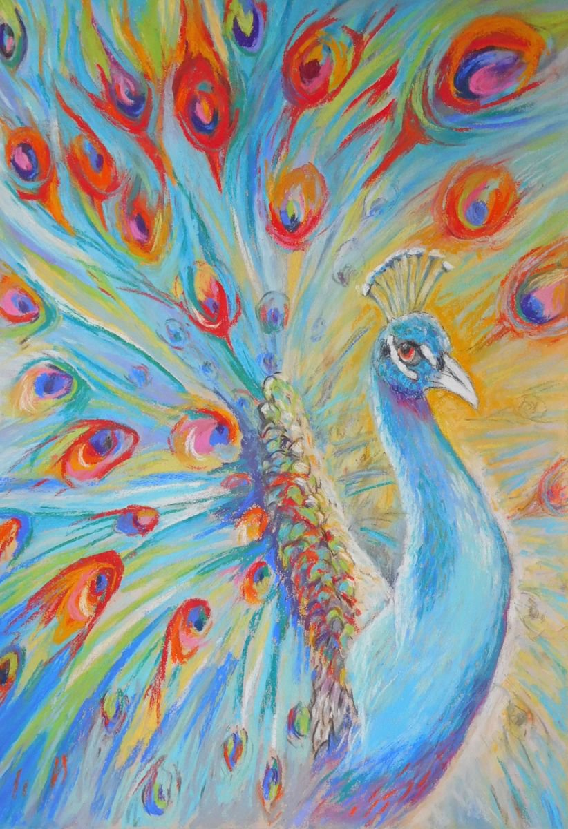 Strutting Peacock by Kay  Moore