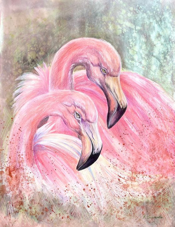 Flamingo couple