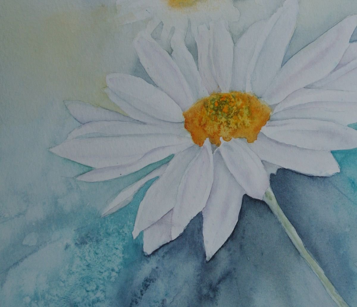 Daisy.. Daisy.... Original by JANE DENTON