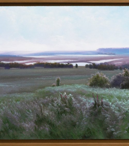 SUMMER MEADOW by Oleksii Vylusk