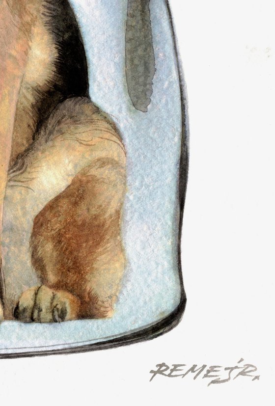 German shepherd in Jar V