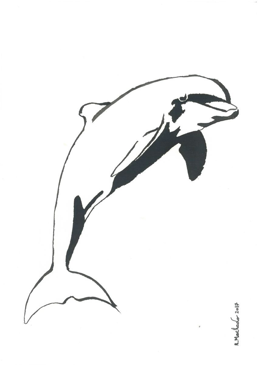 Dolphin I Animal Drawing by Ricardo Machado