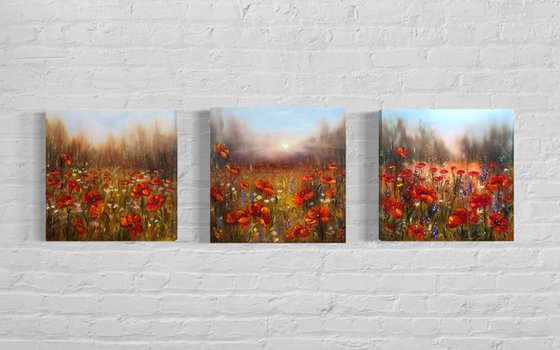 Red poppies - triptych