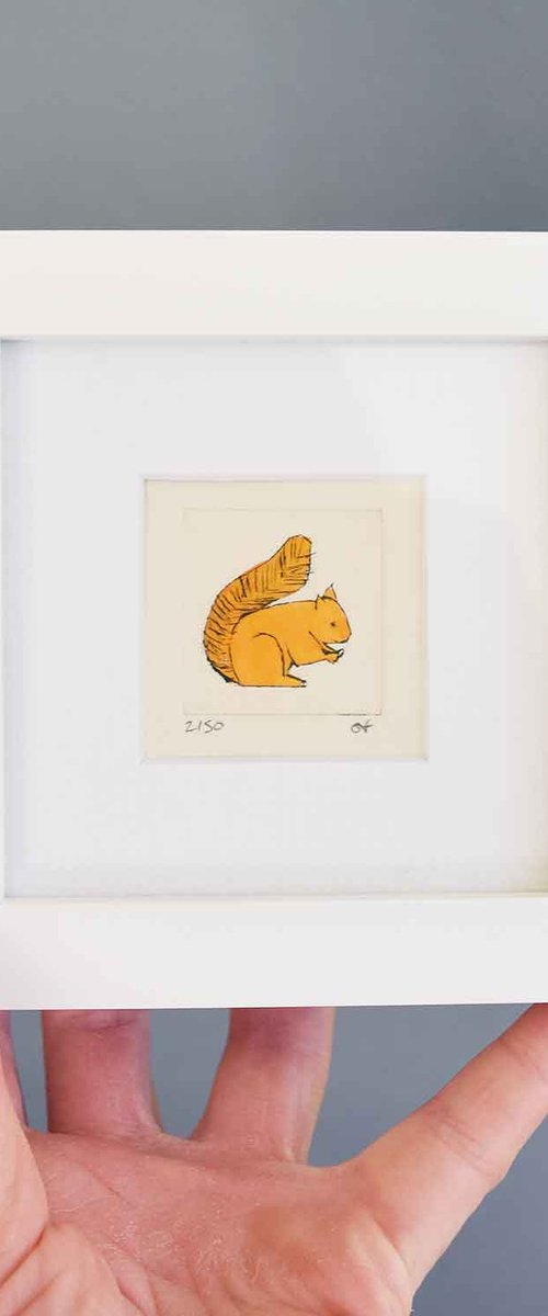 Mini framed red squirrel by Sally Fisher