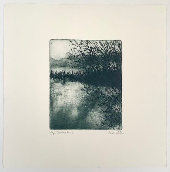 Winter pond