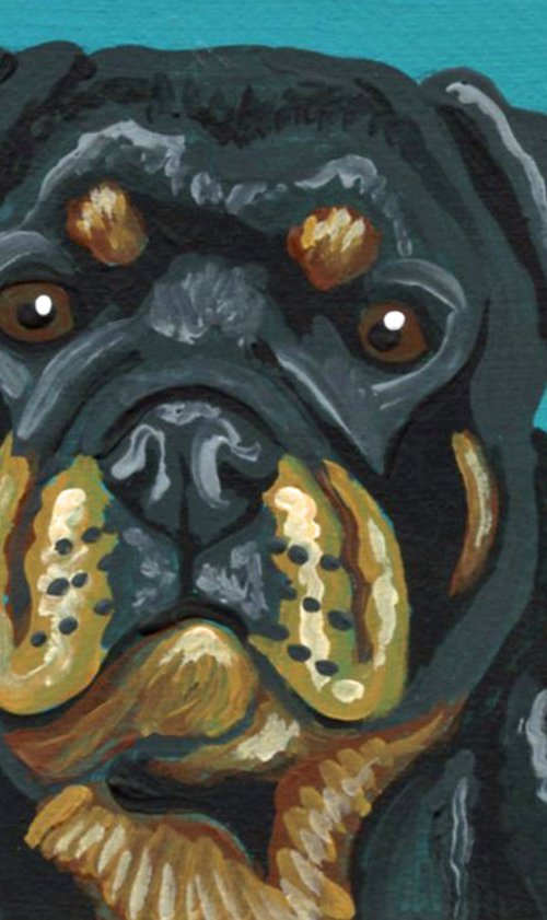 Rotti Rottweiler by Carla Smale
