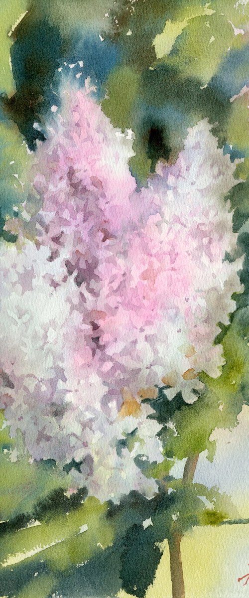 A branch of light lilac by Yulia Evsyukova