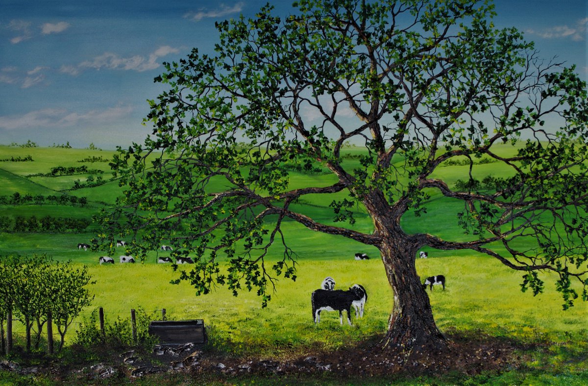 Summer Thoughts By Hazel Thomson, 36 X 24, Artwork For Sale On Artfinder