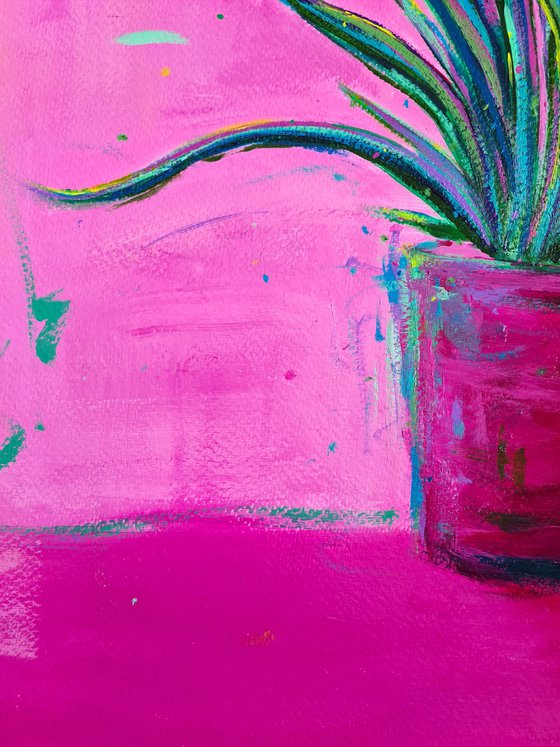 House Plant