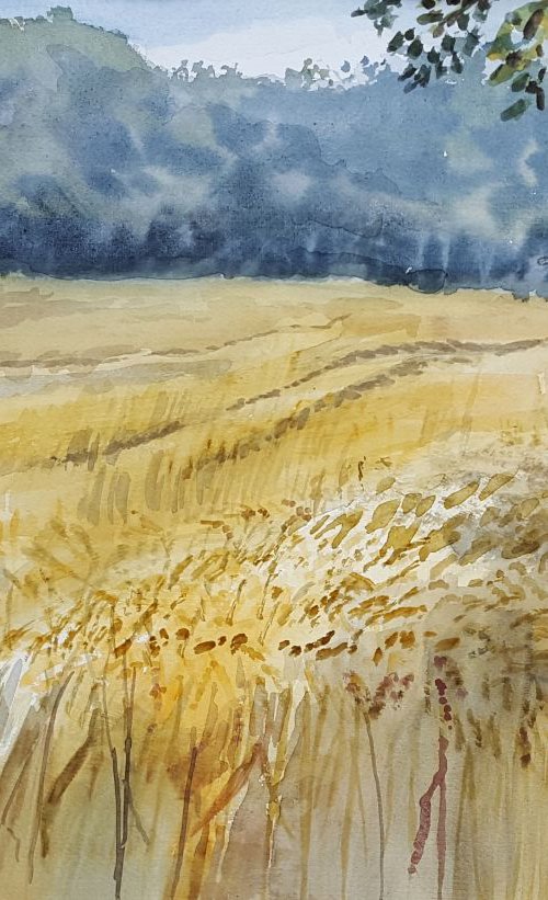 Wheat Field by Morag Paul