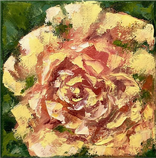 Yellow rose by Olga Kurbanova