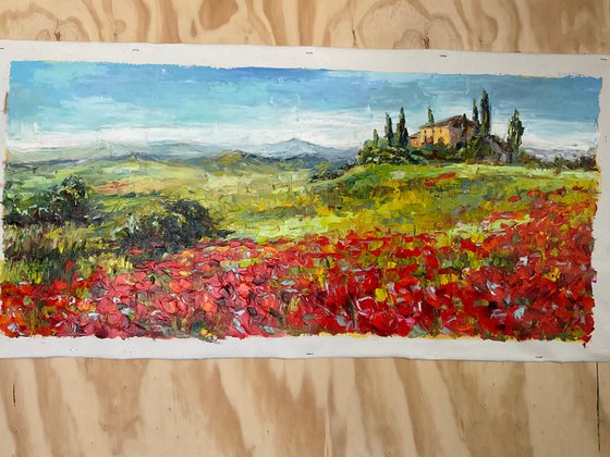 "Poppies of Tuscany.Sunny day."