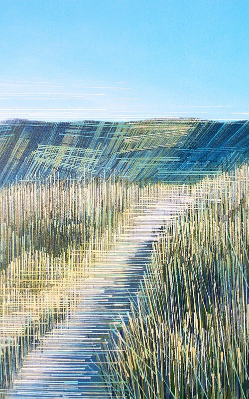 A Summer Sea Cliff Path by Marc Todd