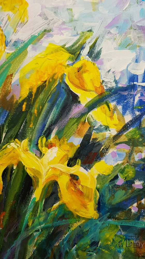 Yellow Irises