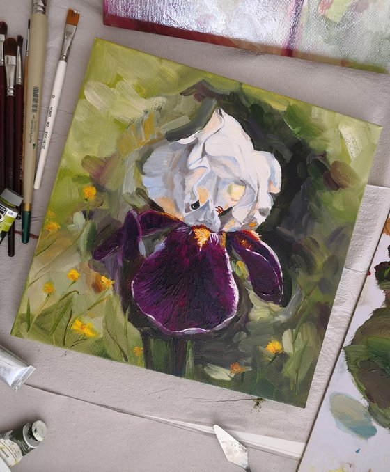 White violet iris in the garden, iris flower Painting