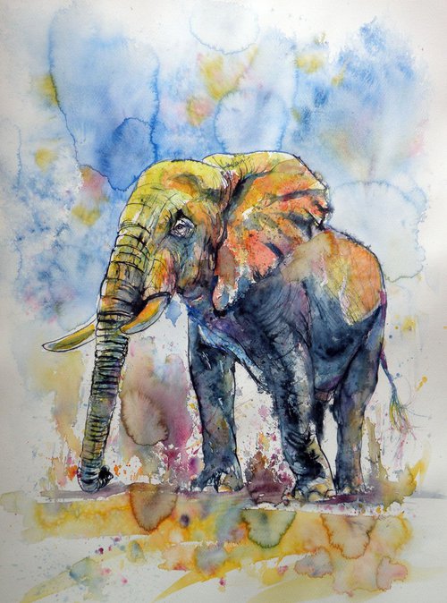 Big elephant by Kovács Anna Brigitta