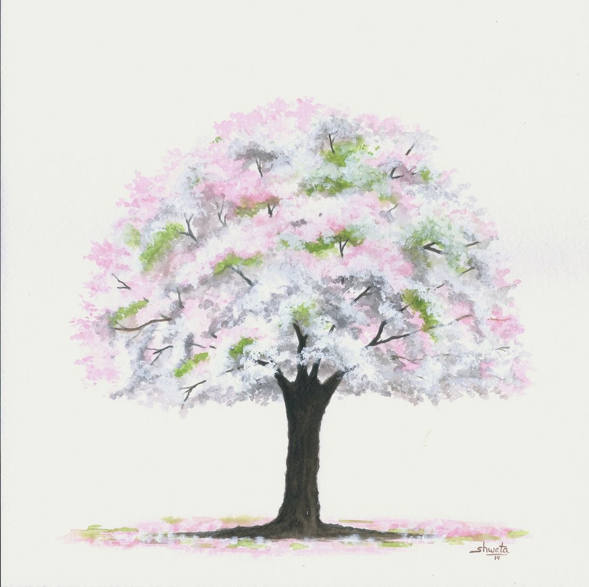 Cherry Blossom Watercolour Painting by Shweta Mahajan