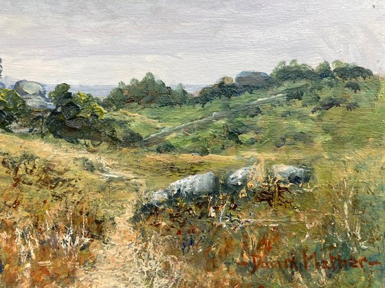 Vixen Tor Dartmoor