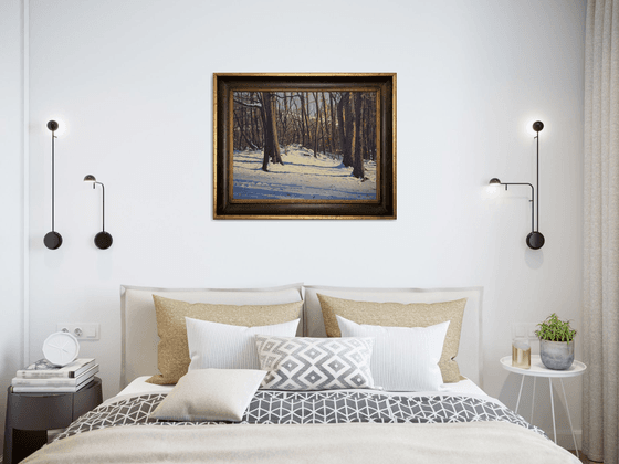 Winter Stillness: Snow and Shadow