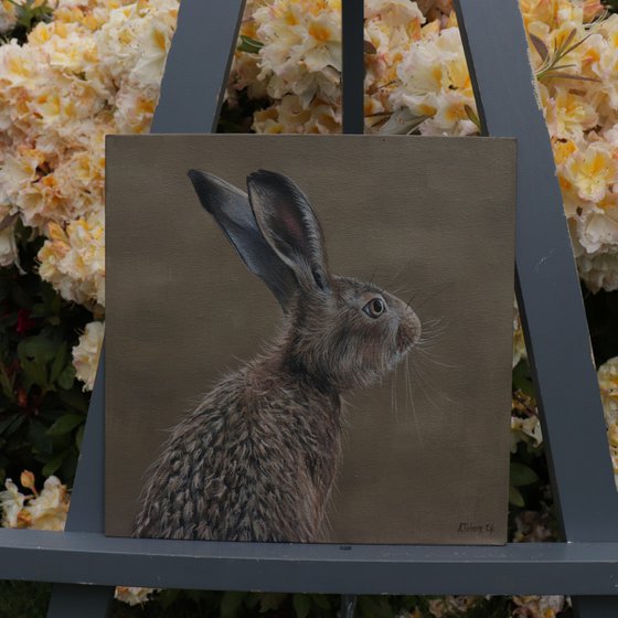 Portrait of a Hare II