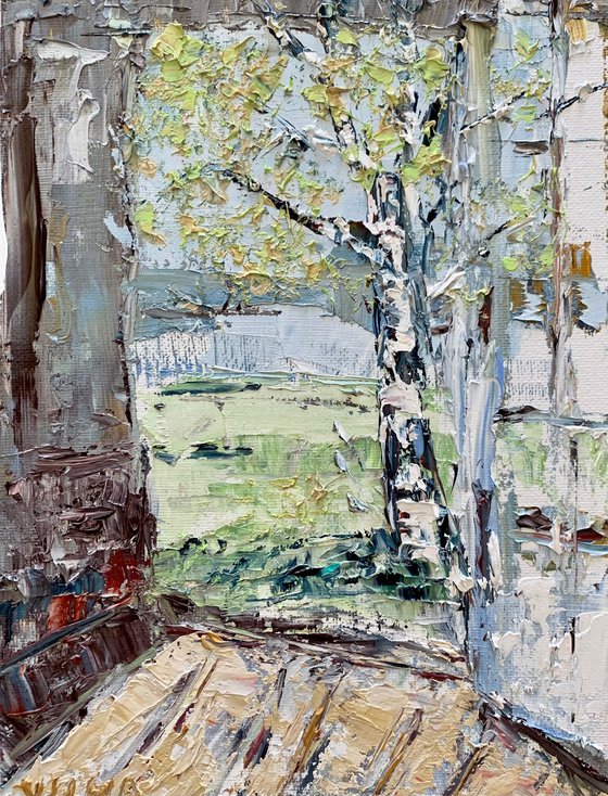 Birch tree in spring