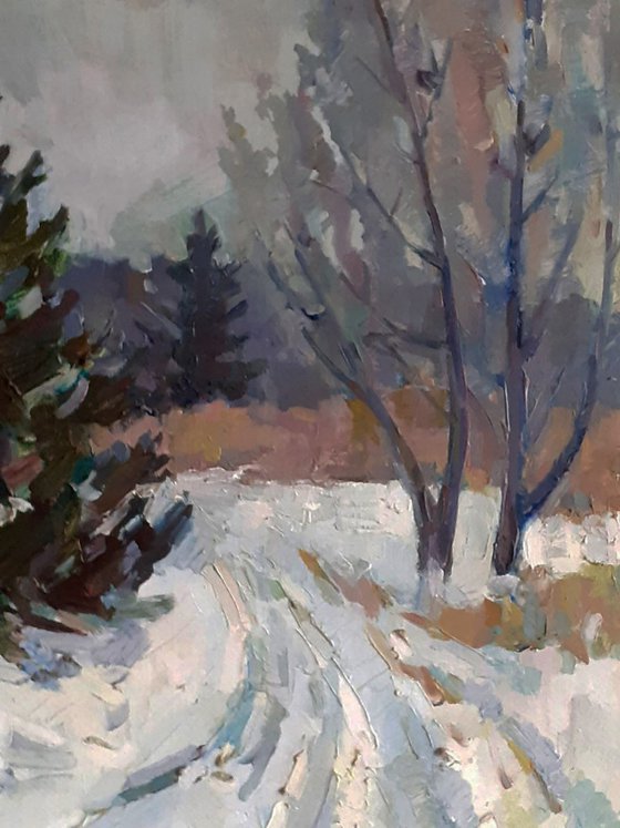 Christmas Trees Covered with Snow